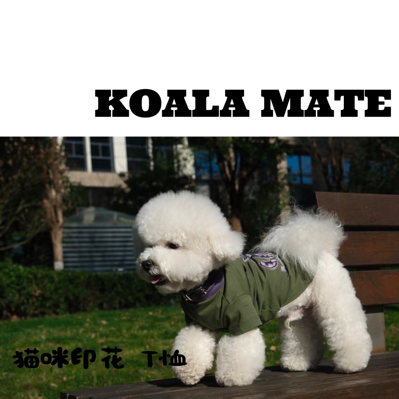 koalamate考拉伙伴宠物服饰狗狗衣服夏季薄款猫咪衣服卡通印花T恤