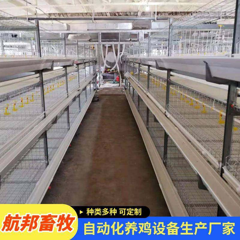 三层立式肉鸡笼镀锌全自动清粪肉鸡笼全自动养鸡设备养殖笼土鸡笼,畜牧/养殖物资,特种养殖设备,淘宝优惠券,粉丝福利购,淘宝优惠卷