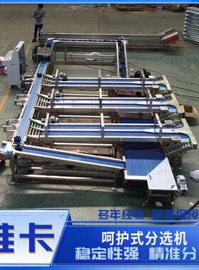 水果重量分选机无损测糖秋月梨皇冠梨分级机草莓枇杷选果机