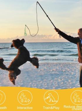 伸缩逗狗棒狗逗玩具逗39831挑杆狗狗玩具狗互动玩具逗猫宠物玩具