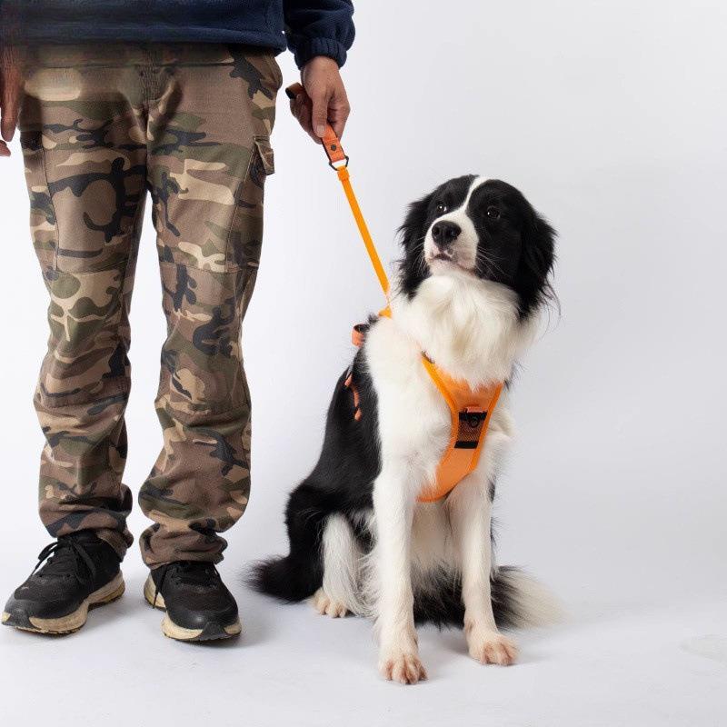 狗狗牵引绳胸背一缩体可RYM伸遛绳中型大型狗犬宠物心背式背带防