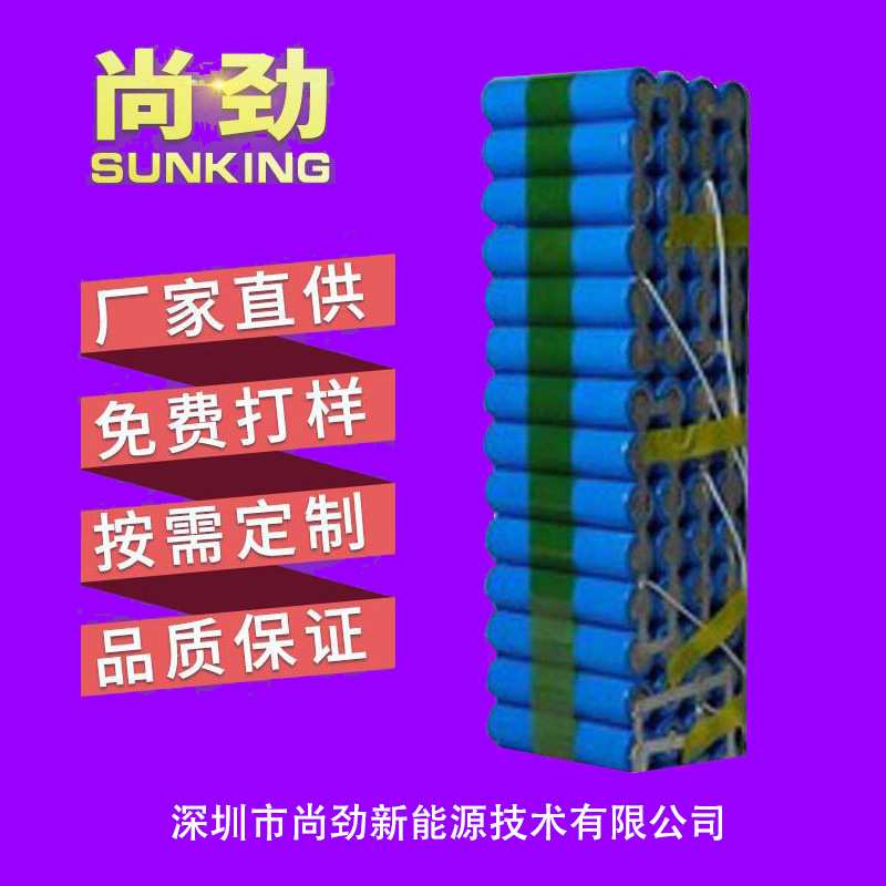 尚劲48V20AH电动车锂电池组外卖车锂电池组太阳能/电瓶车电池组