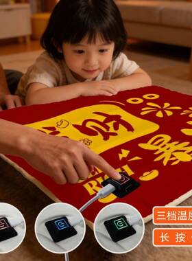 加坐垫办公室电椅垫小电热毯PVJ坐垫宠物暖垫电热热坐座垫屁垫加