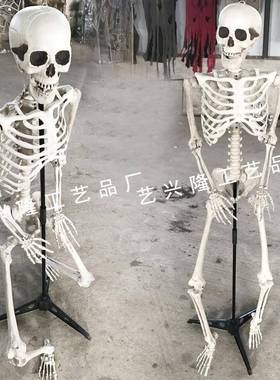 15174万65cm逼真塑料骷架髅骨鬼屋装饰密室KV用品仿真人圣节道T具