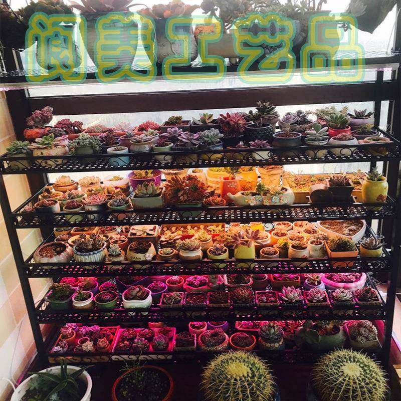 新品多肉架光用花架室补内多层可移动带IET轮多肉盆架子置花物架,电子元器件市场,其它元器件,淘宝优惠券,粉丝福利购,淘宝优惠卷