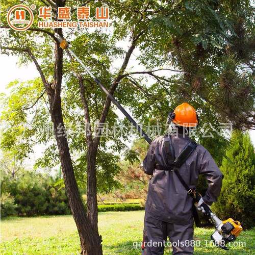山东华盛高枝锯高枝油可伸缩工作杆4NNS锯链.3米率大功QJB270汽油