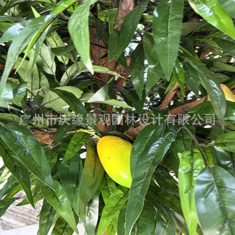 仿真芒果树内酒店厅装饰假芒树青lj200园艺庭院博室物馆摆设道具