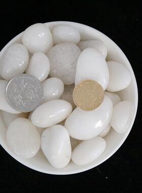 林品高抛白色鹅卵石雨光HOS花精石铺面家装园盆栽用石