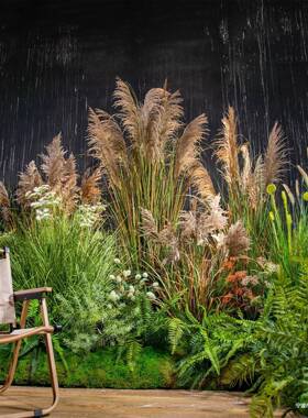 64910饰禄造景仿真苇假植草芦苇氛围景装观盆栽植露营树植物干花