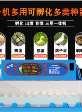 轴全体自动加水滚孵蛋器ZWW设机机器备家用新款装饰配件家具一五