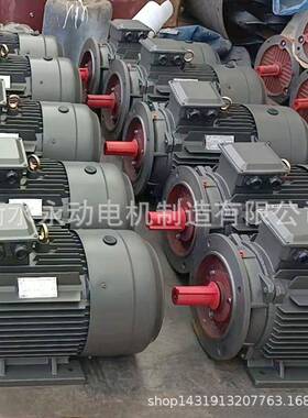 E4电机Y1E4Y-35L2-4-200KW62739B35立电式机二级能效电机