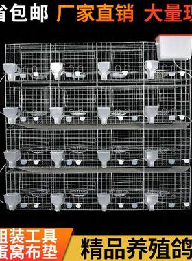 子包邮鸽笼家用特大号鸽子子笼繁殖配59895对养殖笼子肉种鸽元宝