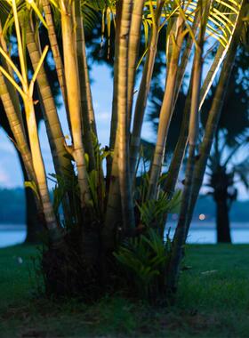 LE灯D户外插地灯防水景观投地插射树草地外园林室照树灯REQ草坪光