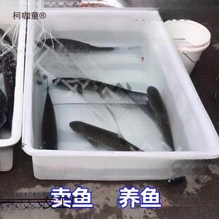 塑料麦箱方桶加厚号养龟箱卖鱼盆长方形水鱼产养殖箱大87294牛筋