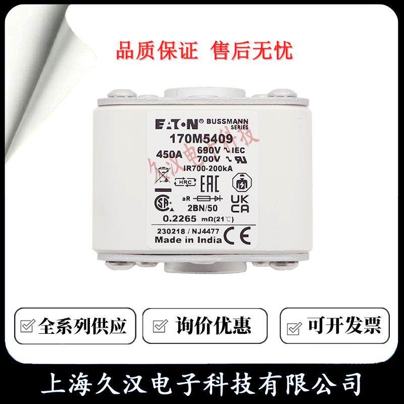 170M540B8/540ZAR9/540/5411/5412/5413USSMANN熔断器1保险丝FUSE