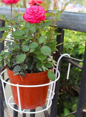 花篮EHU挂架形盆阳台圆型花盆用铁架花架垂圆专铁吊艺