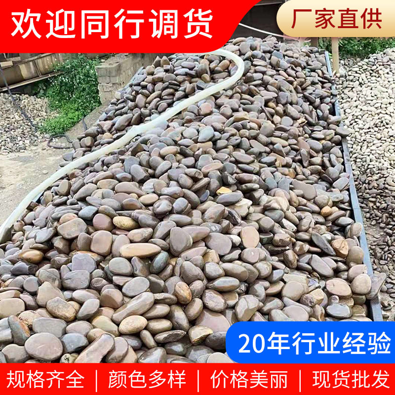 杂色鹅卵石厂家批发铺路滤料