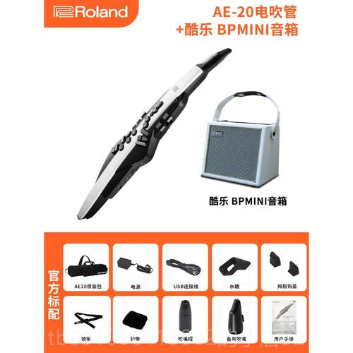 正品现货RolaAnd罗0电吹管乐器AE20老年人初学娱乐E3电子吹管萨克