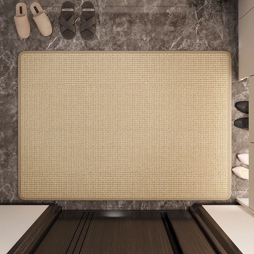 简约轻奢入户门地垫2024新款耐脏除尘防摔地毯防滑大门口进门脚垫