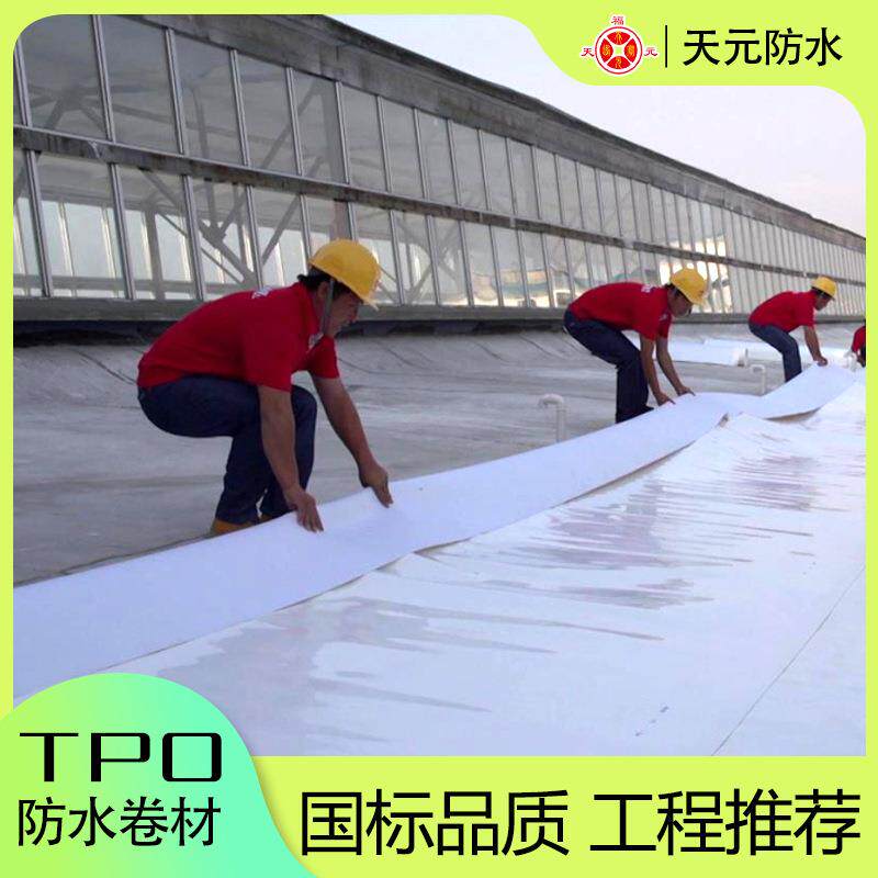 热塑性聚烯烃tpo防水卷材/采购聚酯纤维内增强加筋均质背衬型