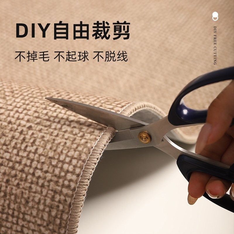 入门户入户门室外地垫脚垫子大门口进门前地毯2024新款家用可裁剪