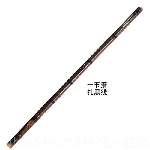 高档洞器初学入门成人紫竹萧零基乐玉萧古萧长萧古风八孔箫g调础f