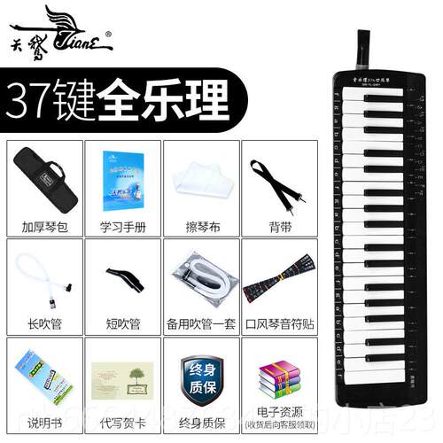 高档色天鹅口童风琴37键全乐理儿学生初学学校老师推荐教学专业演