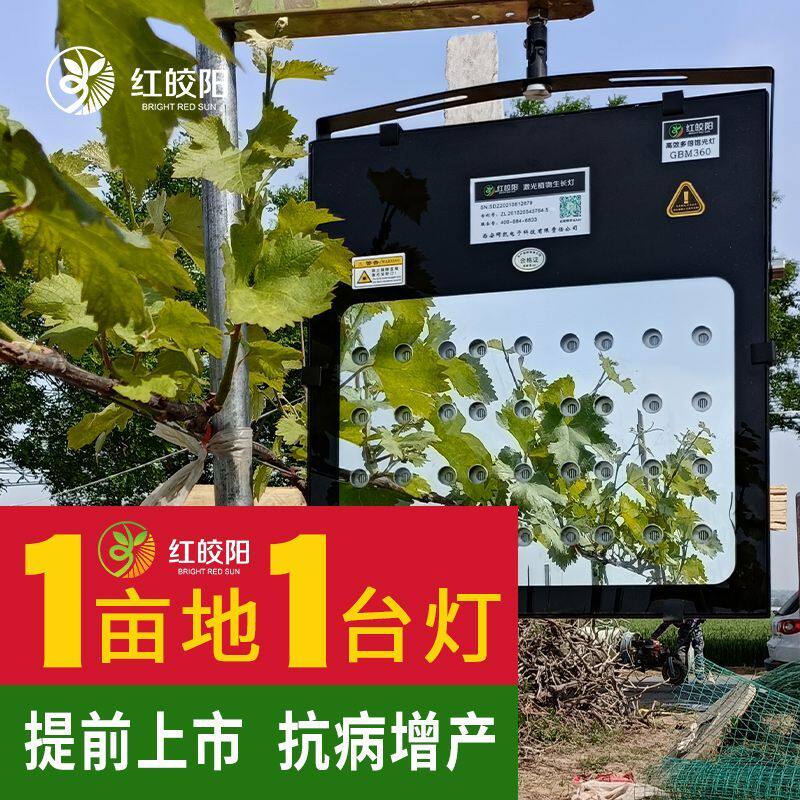 大棚专用激光补光灯大棚生长灯草莓樱桃蔬菜增产饱光灯仿太阳智能