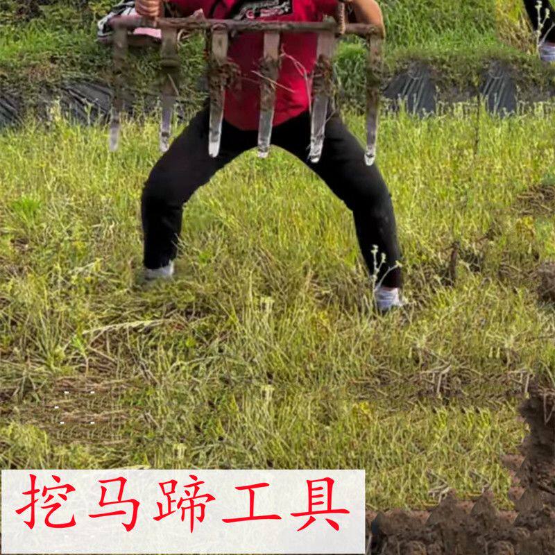 翻地挖土叉子翻土神器挖马蹄专用工具挖泥土挖姜赶海挖蛤蜊耙子
