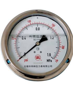 雪浪特种仪表 高精度YNBF60轴向1.6Mpa防腐气压水压液压