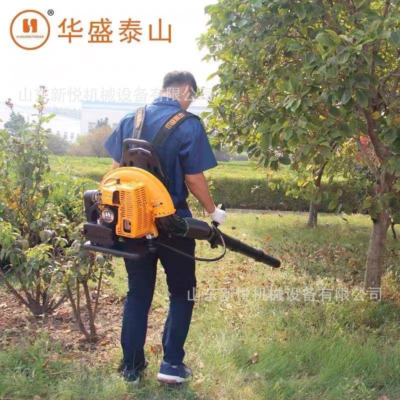 EB650背雪负式落叶吹风风机MLW大棚汽油吹机加型力灭强火机