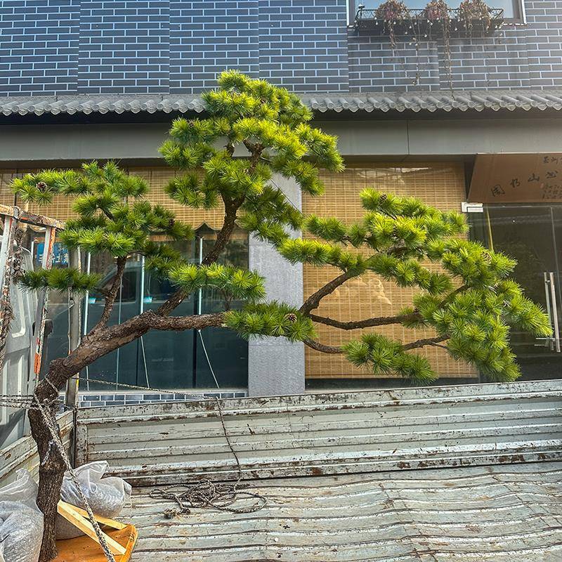 仿真配迎植客松室内造景设计假罗汉松软装绿仿真松树搭大型橱树窗