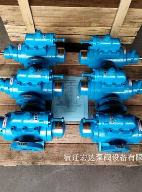 SNH940R046U8W30盾构润滑系统油泵SN130EHR4无品牌/6E8.9-W69三螺