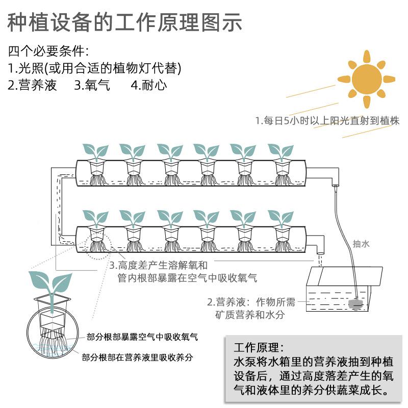 家庭式阳台水培设备无土栽培管生菜菜植心叶菜双双面八管面八种自