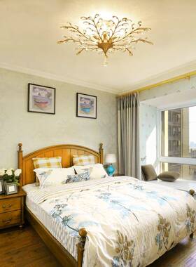 式顶灯卧美室水晶灯餐厅书吸房道走廊玄关个69875性创意艺术田园