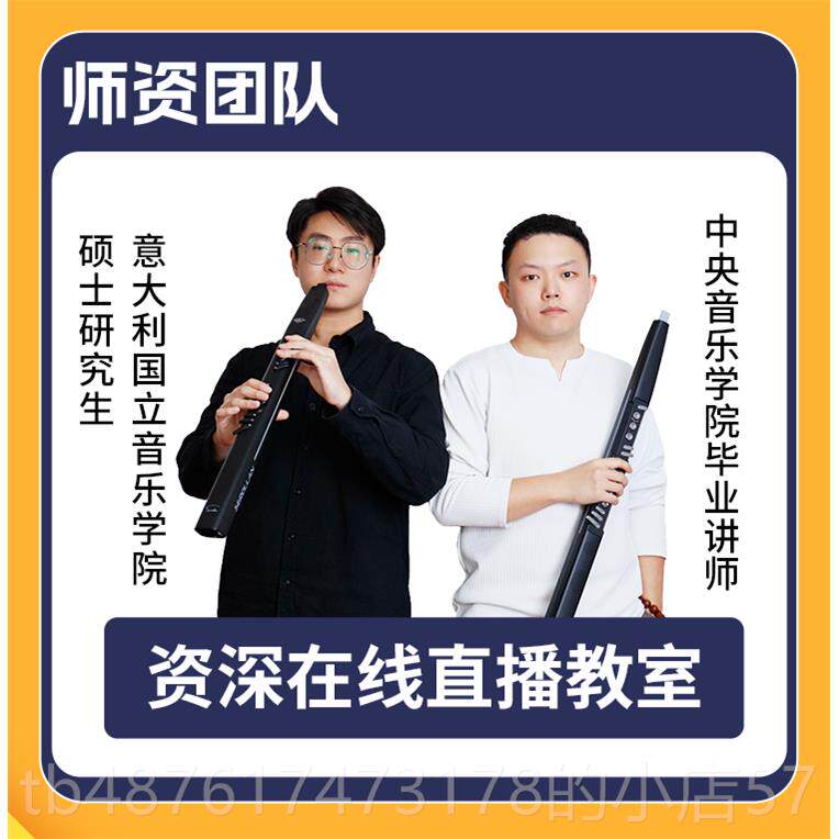 正品金初丝雀S-911零1全新升者级电吹管基础学中老年专用笛子电萨