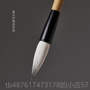 正品陈宝忠建老师推荐善书毛笔晋元堂工手楷书行书文房四初学者练