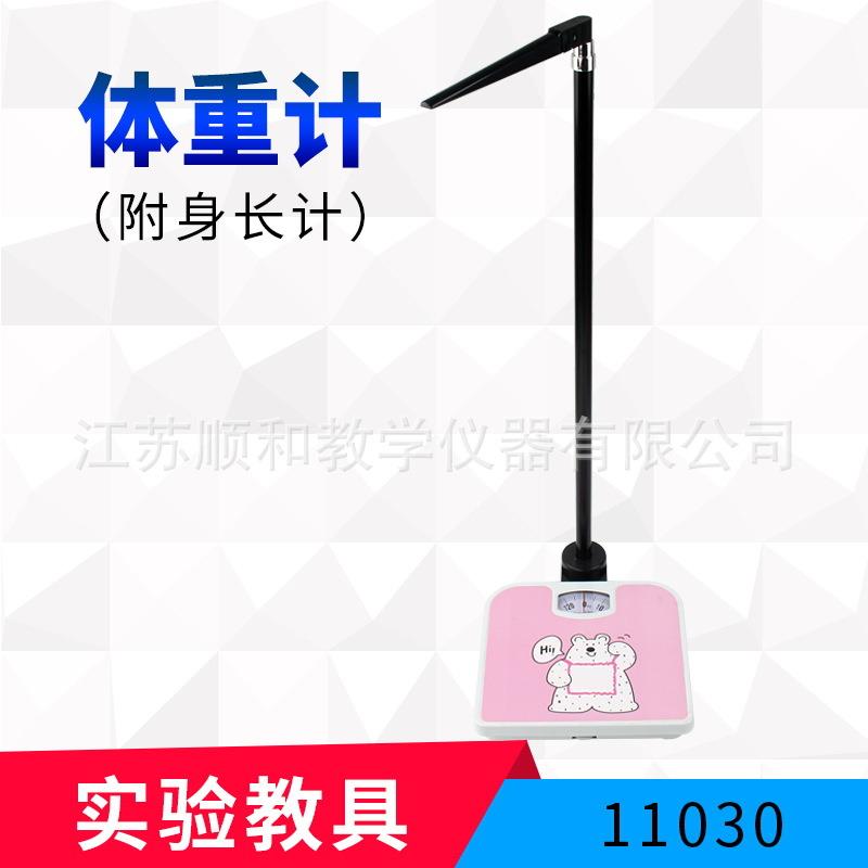 体重计 教学实验器材 附身长计 科学小学 实验仪器
