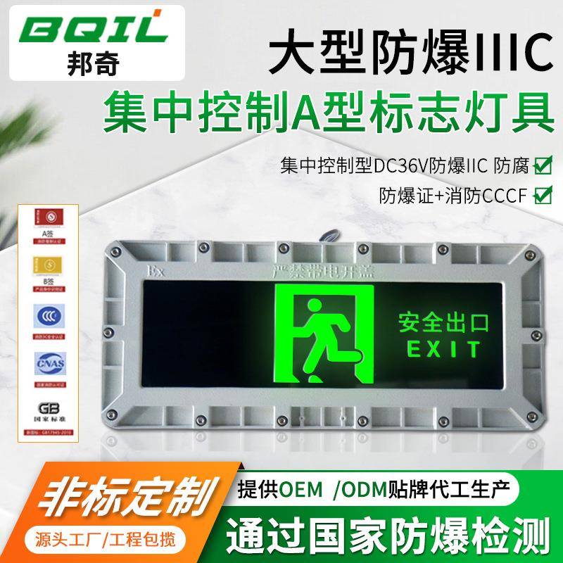 集中控制防爆应急灯安全出口指示灯LED疏散指示灯智能应急标志灯