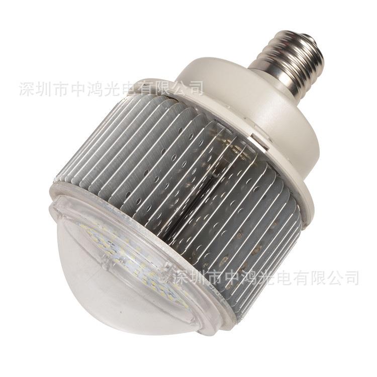 E40 LED球泡灯贴片3030LED生长灯全光谱 50W 100W LED植物灯