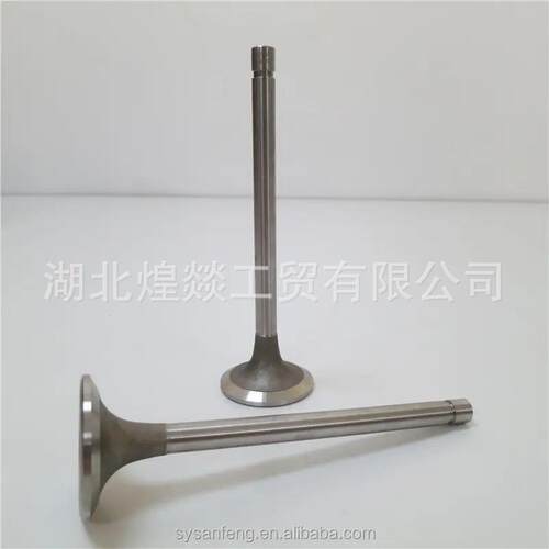 东风康明斯6BT5.9工程机械柴油机发动机配件进气门3922713 380265