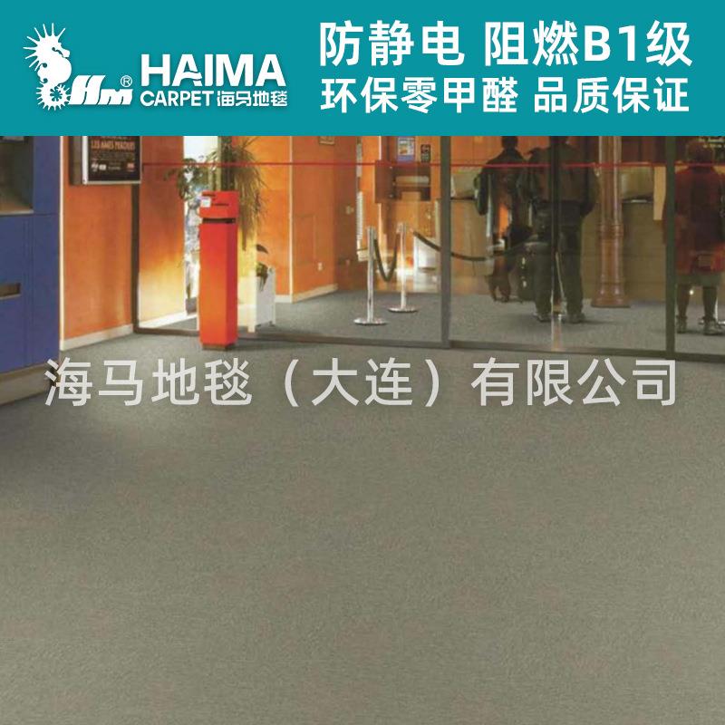 海马拼块地毯pvc写字楼酒店商用走方廊宴会厅电T1000地毯防静地块