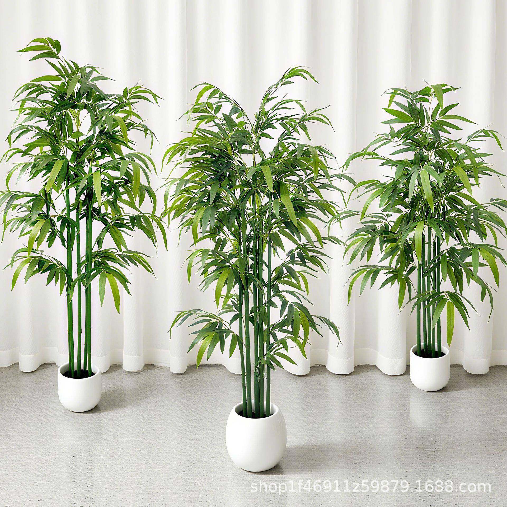 叶仿真贵竹室内富屏风假盆景绿SXC植客厅装饰竹植物造景竹子摆件,鲜花速递/花卉仿真/绿植园艺,其它园艺用品,淘宝优惠券,粉丝福利购,淘宝优惠卷