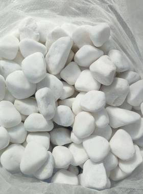 黑鹅10567饰卵石雨花石景观园林绿化造景用大块装色河卵石