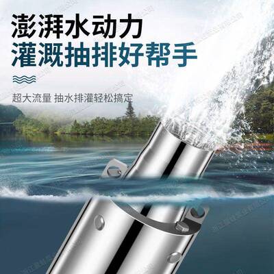 青蛙款不锈钢深泵220V家用井水抽水机BGB三井相3抗80扬V沙高程抽