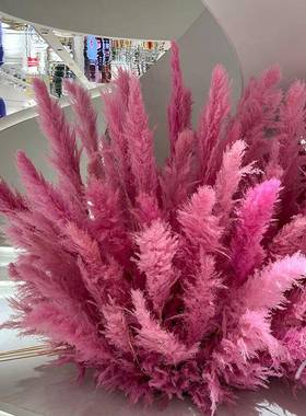 粉束色芦苇花网红景观花庆商场橱窗装婚饰红色芦苇花室PUN内外造
