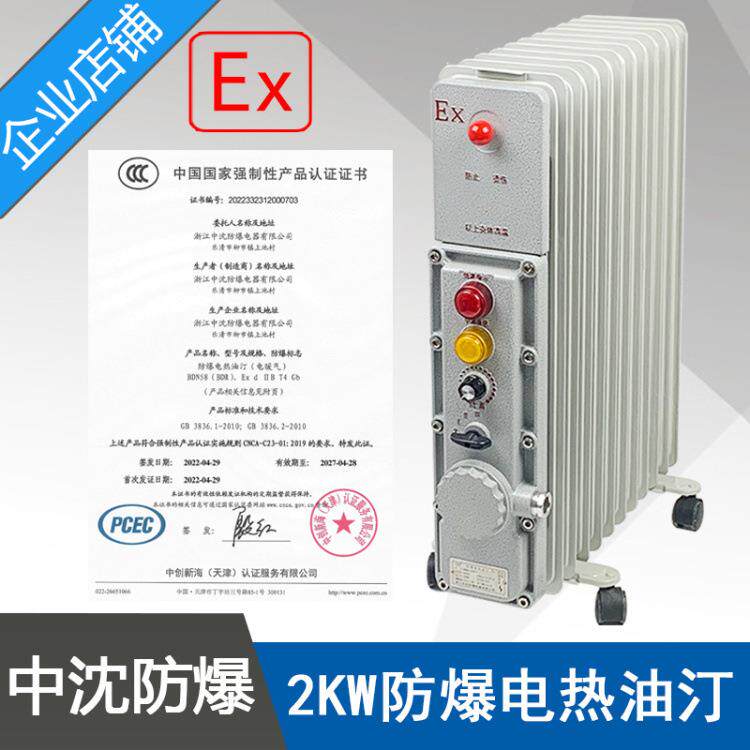 BDN58-2000W防爆电热油汀功率2KW11片220V防爆电暖气取暖器合格证