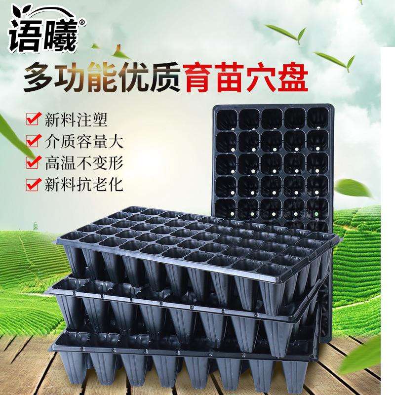育苗盘种植盘 平盘无孔盒加深 阳台育苗扦插蔬菜加厚穴盘厂家