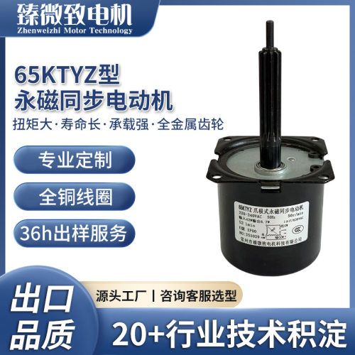 65KTYZ永磁同步电机低噪音微型