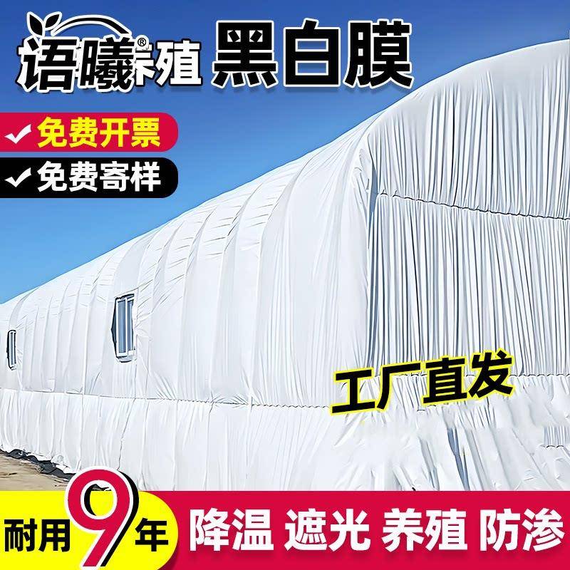 黑白膜进口抗老化防晒加厚大棚隔热降温保温反光膜遮光膜食用菌